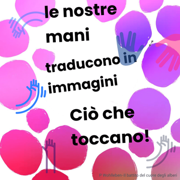 2c090477-8672-4390-99fe-b8d976e8f156