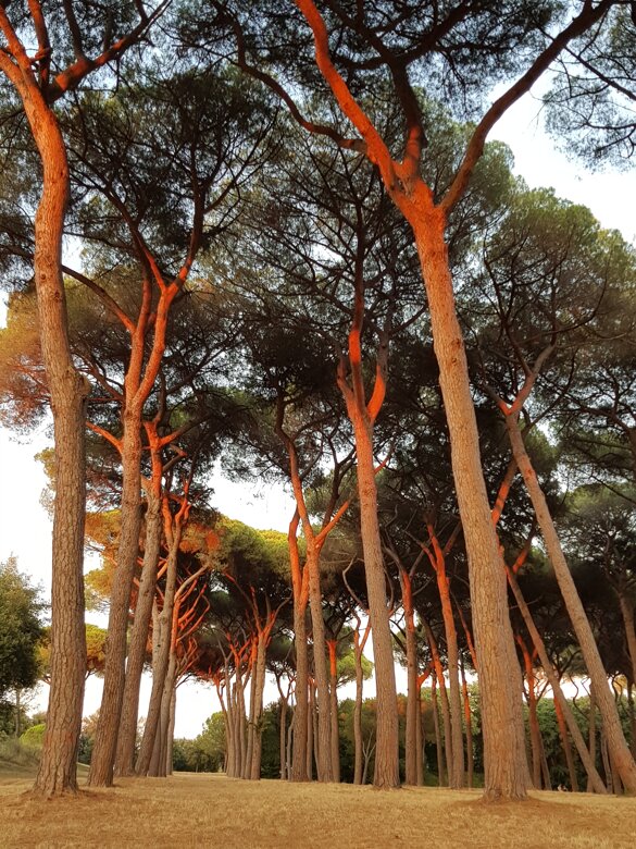 4dcdf83c-0610-480f-ab30-000adb63e21d