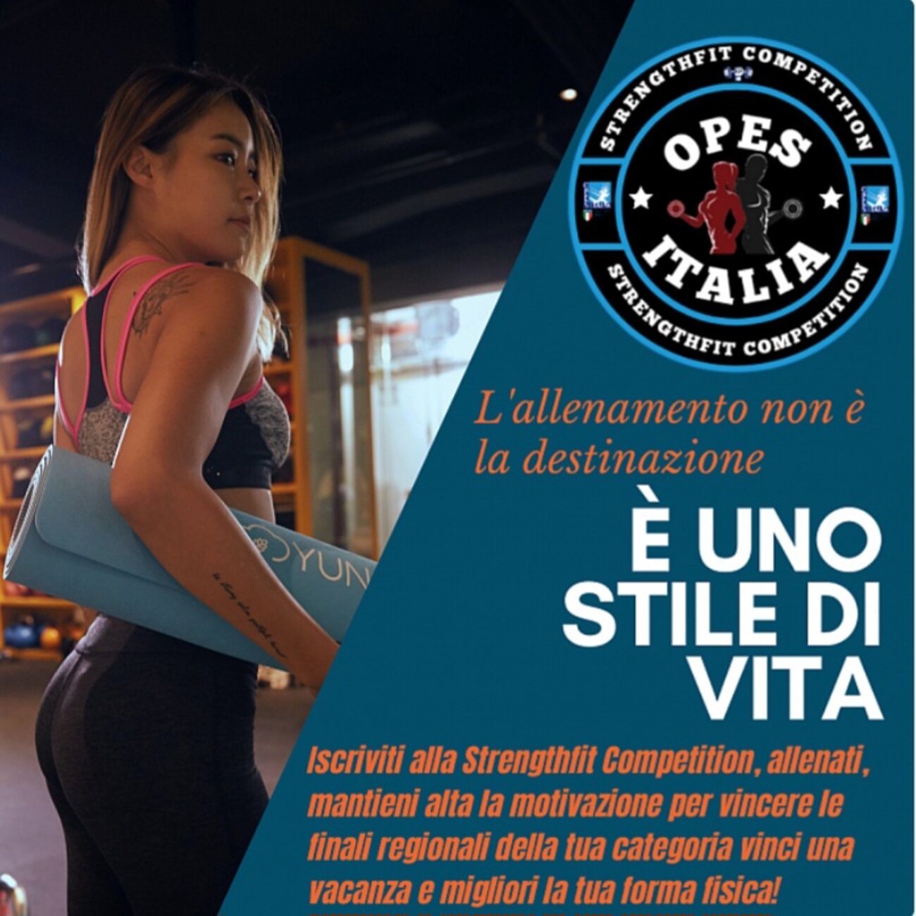 ae2493a5-1c6d-4913-9b17-d2cc8bd661ff