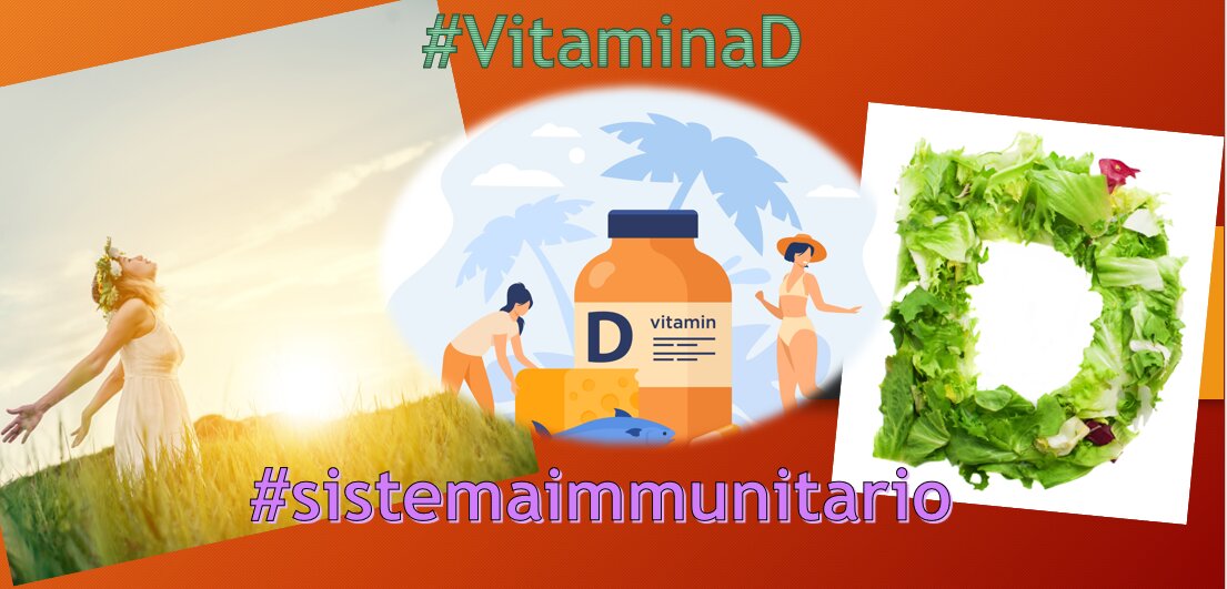La Vitamina D ed il sistema immnuitario