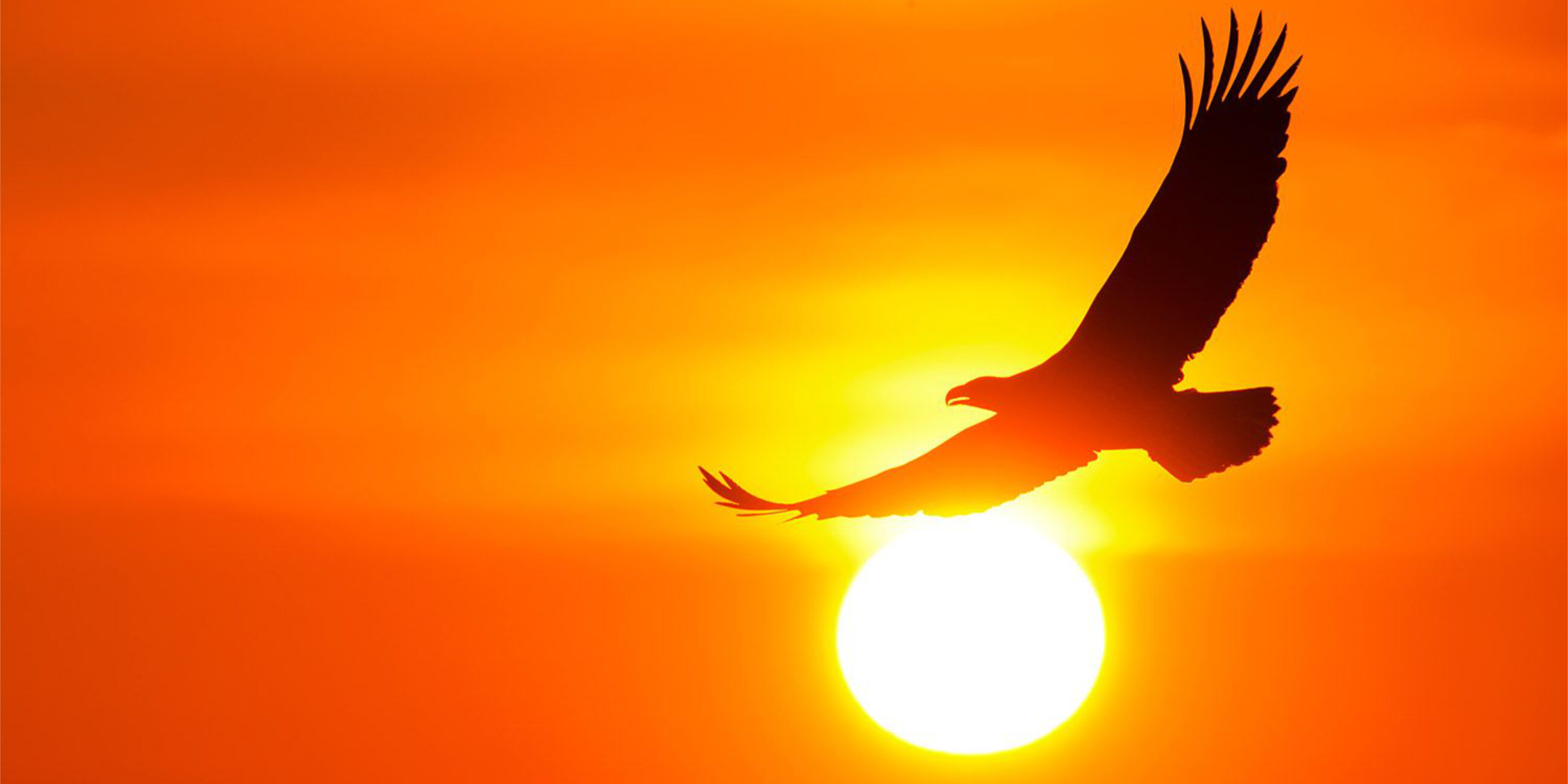 Perch&eacute; non diventi un&rsquo;Operatrice Olistica?