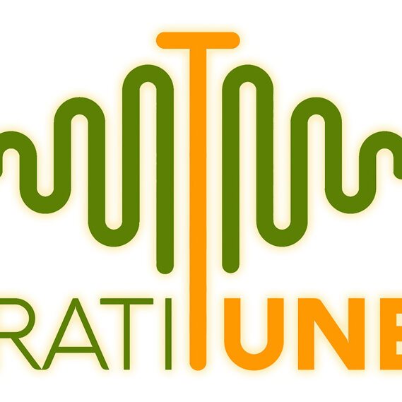 GratiTunes Alza la frequenza con il potere della Gratitudine