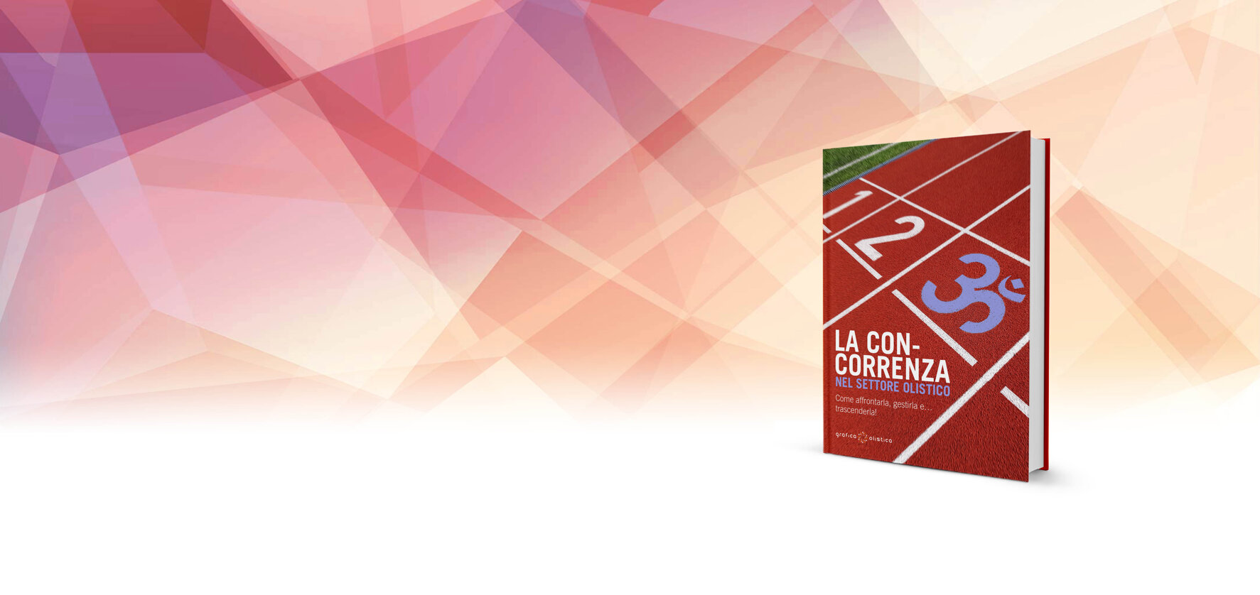 161117e5-0e11-4130-99a0-afb6a5fcf084