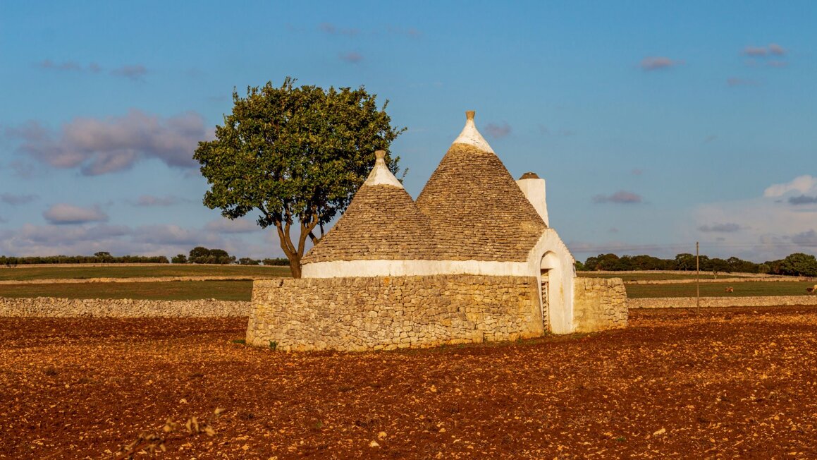 d86f73d2-4e39-40ed-9f71-d81e5585c473 d86f73d2-4e39-40ed-9f71-d81e5585c473