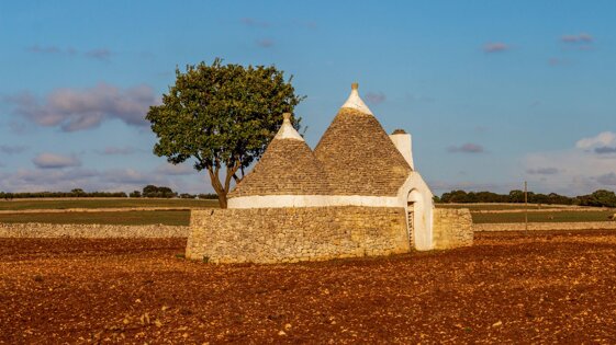 d86f73d2-4e39-40ed-9f71-d81e5585c473