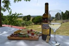 cantina_torricella.jpeg cantina_torricella.jpeg