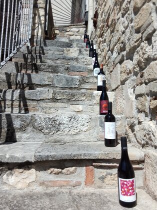 843fa9f1-c9aa-4ec8-ac01-29d9b6cee47c