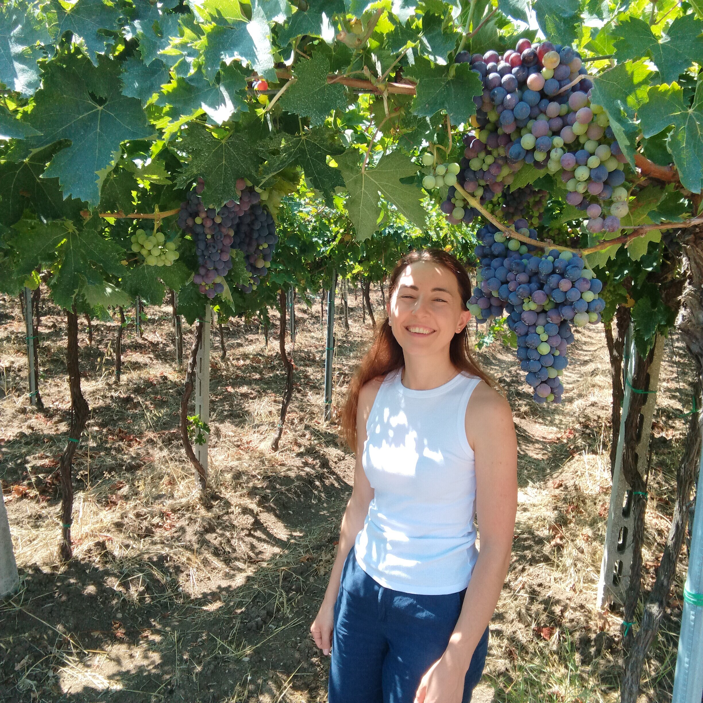 481cbffb-2f84-4c31-8c16-f14e8bb1f1ae.jpg 481cbffb-2f84-4c31-8c16-f14e8bb1f1ae.jpg