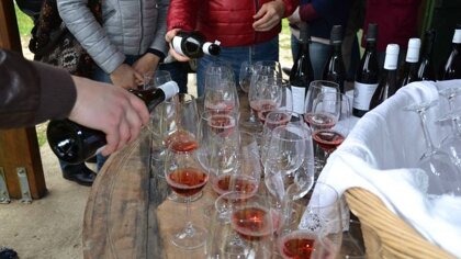 a729a630-e912-44e4-bf1a-18005222fb9d