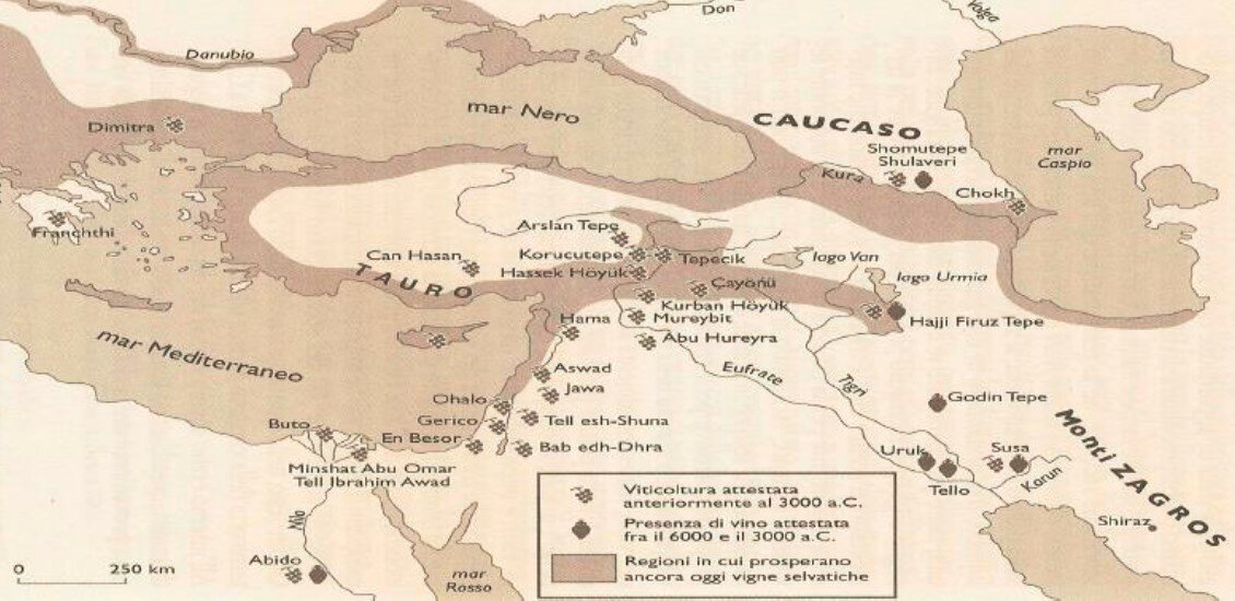 3378d03c-524f-4960-898a-6d2d386f3fcf.jpg 3378d03c-524f-4960-898a-6d2d386f3fcf.jpg