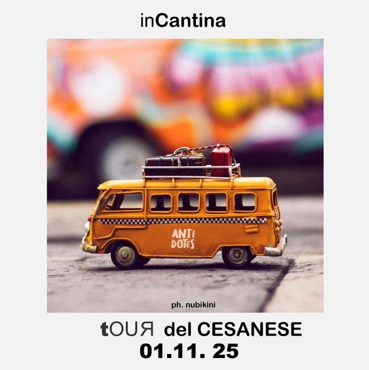 Alla scoperta dell'Enigma Cesanese. 1 novembre 2025