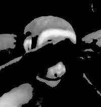 80916816-29c7-4779-ba63-2ac158c2886b