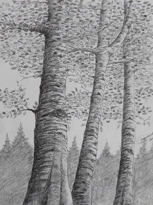 Cultura e pratica del vino in Abruzzo