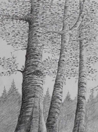 dcfe5d4e-637d-4763-bcf8-2d8df677f740 dcfe5d4e-637d-4763-bcf8-2d8df677f740