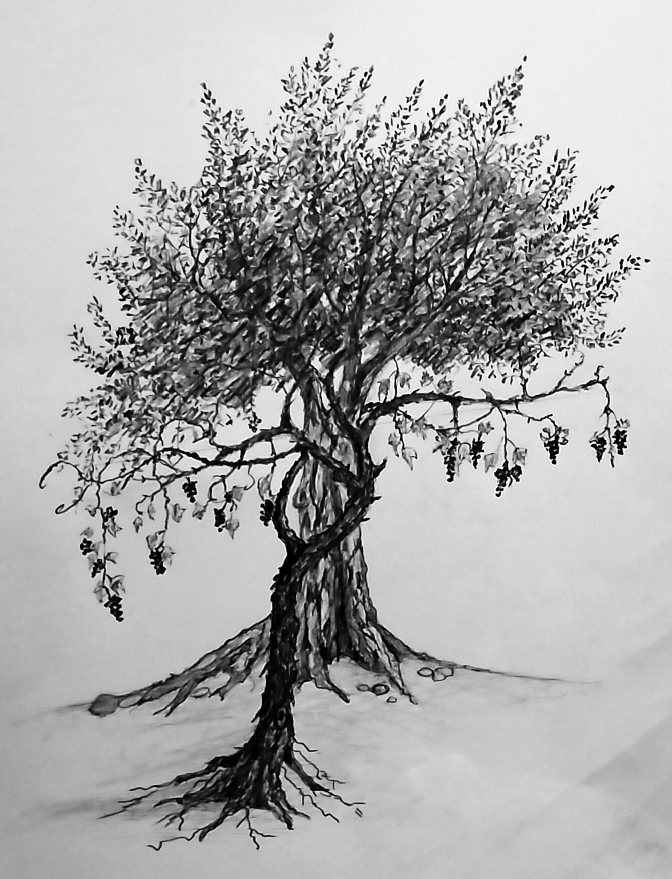 54020b08-26f6-4b80-b0bc-8f500da40ef0