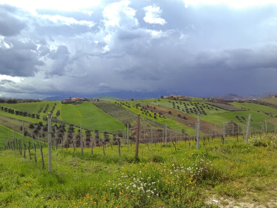 4aac82bf-ea31-4e43-a167-65ea2343a3ed