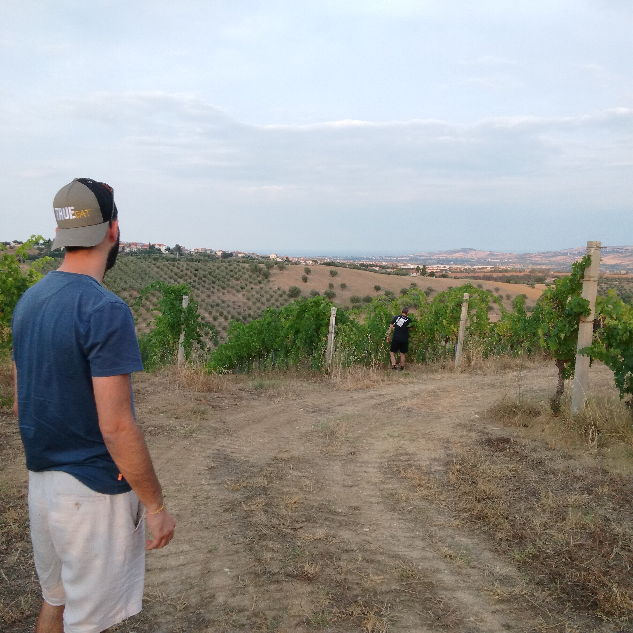 5b037c49-aa66-427b-bb72-8d06d9ae2c8e.jpg 5b037c49-aa66-427b-bb72-8d06d9ae2c8e.jpg