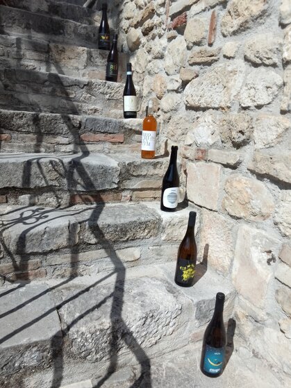 a9947763-c9ca-4e99-964d-623c69f380c9