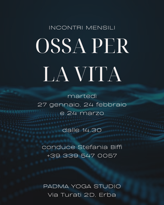 fbc42038-e32b-4c01-8c00-beb94fb02d79 fbc42038-e32b-4c01-8c00-beb94fb02d79