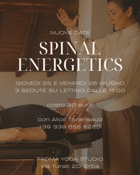 spinale 3.jpeg