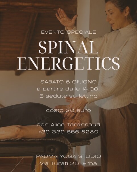 spinal.jpeg