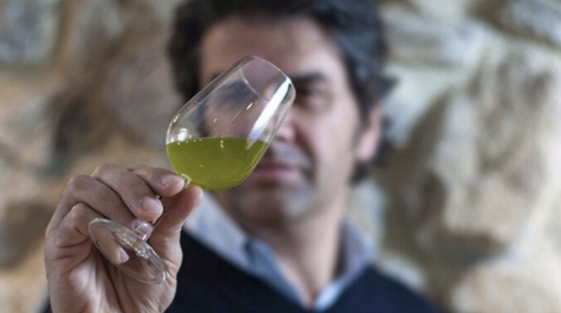 92fe8d03-828b-4319-94f2-f06f157d18fa