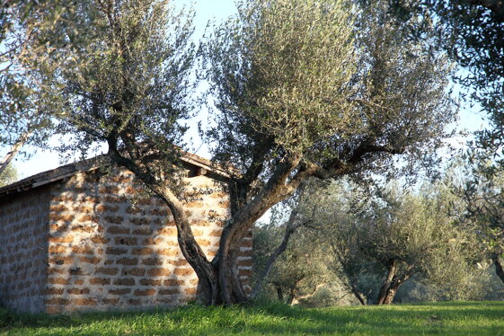 5a9bd8e4-b2e2-4d8e-bf41-eb73b3b9489d