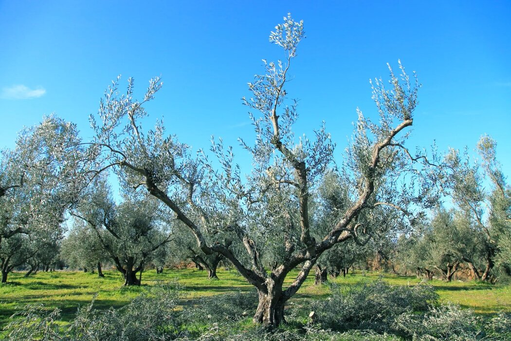 922f4e89-1406-472b-aebd-16b7bb592a8d