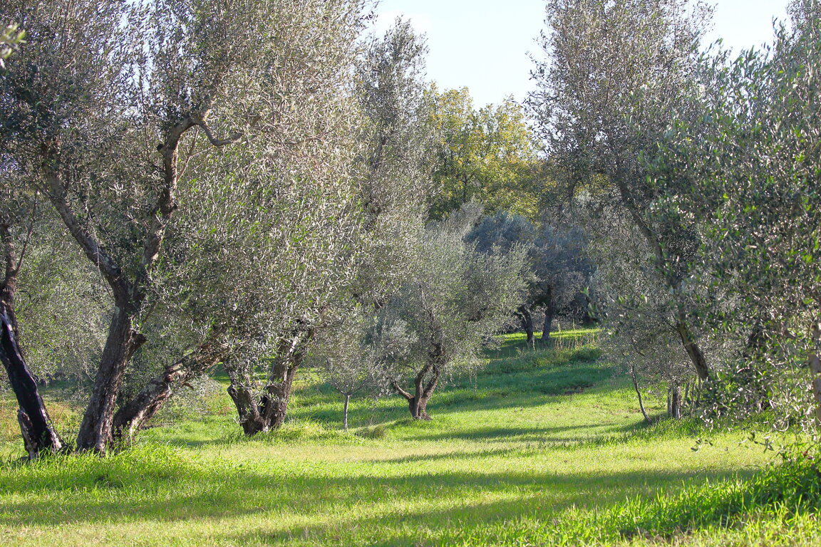 d33b7fe2-ce70-433a-8df8-e71e8e2e3ac2