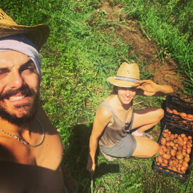 Raccolta patate Faticosa ma soddisfacente