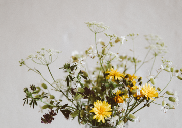 c68f309d-e486-479f-89c4-06631864756f c68f309d-e486-479f-89c4-06631864756f