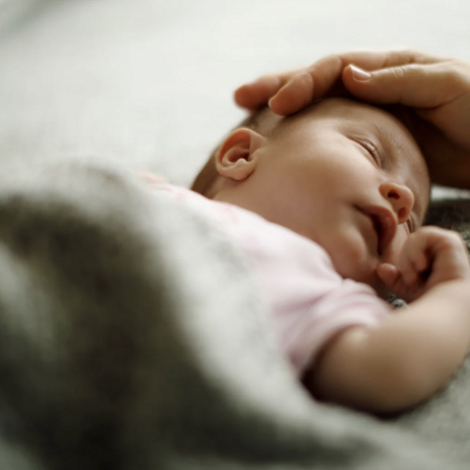 8c8eb605-707e-41f1-9f09-4d8c0395181c