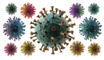 prima-visita-immunologica