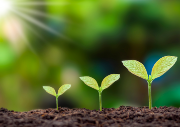 64025d43-24d3-4df6-bae9-349d15f4cc1d 64025d43-24d3-4df6-bae9-349d15f4cc1d