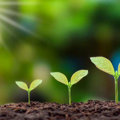 bambino%20arcobaleno