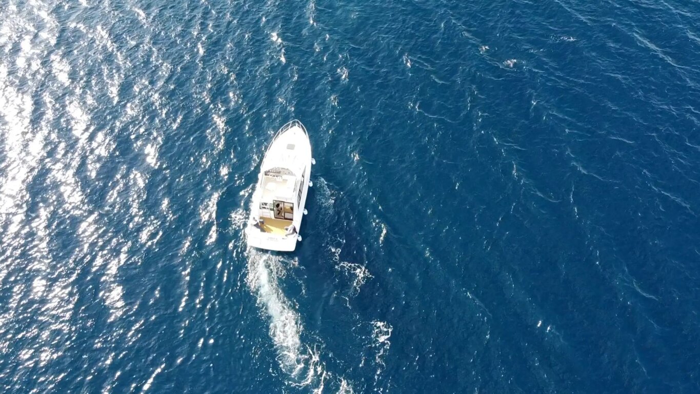 90e32ce4-b822-481d-8ca8-f2eec020bf33