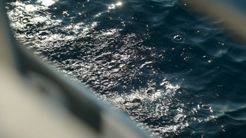 7a363f1a-325a-4ab3-b9ae-d1c2691ebfe7