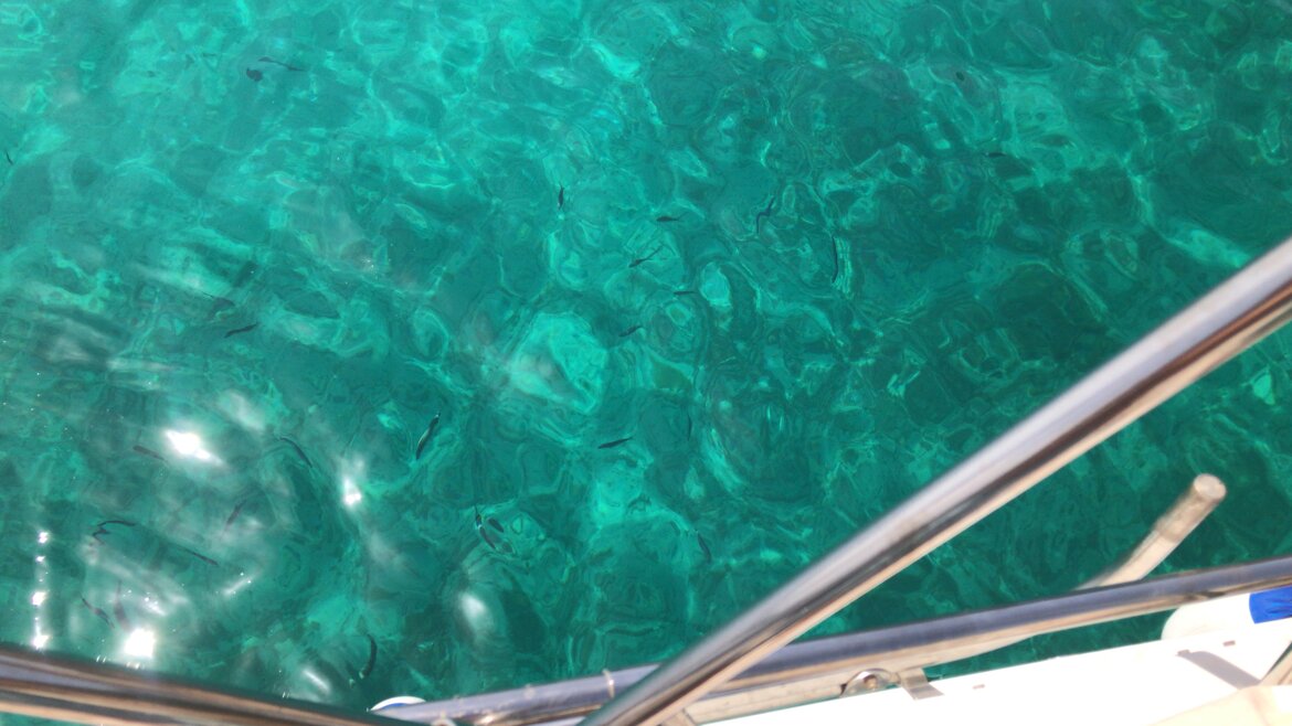 d3a10728-86bc-4a37-8c86-61d6c83563c8