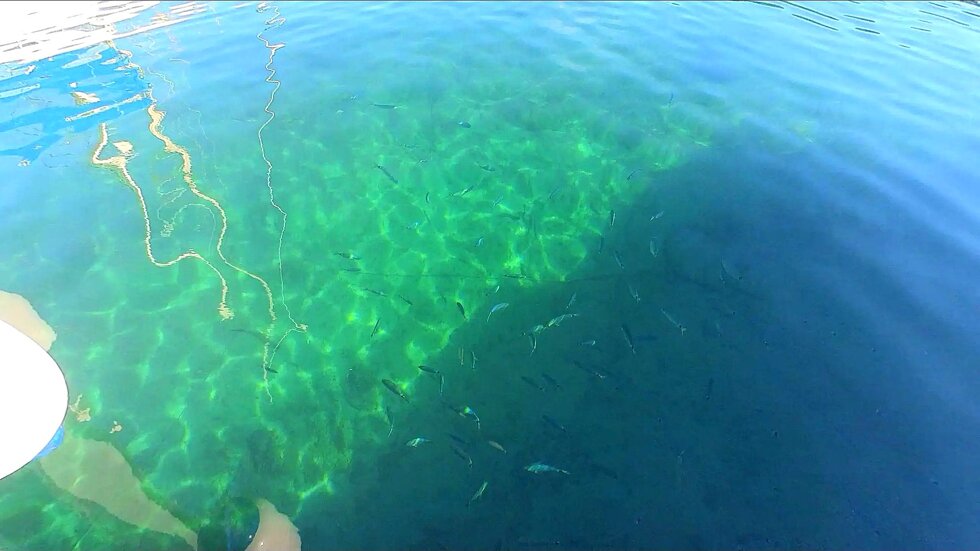 12ce96a4-1856-4668-a83b-366f5efba9e7.jpeg 12ce96a4-1856-4668-a83b-366f5efba9e7.jpeg