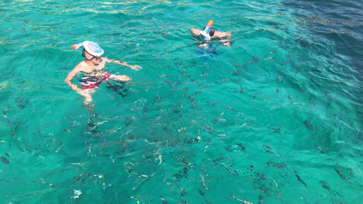 146d95f2-40c0-4500-9063-b2693e9822f8