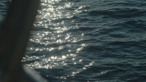 ce34b04d-d1c3-402d-a272-9042a95433bb