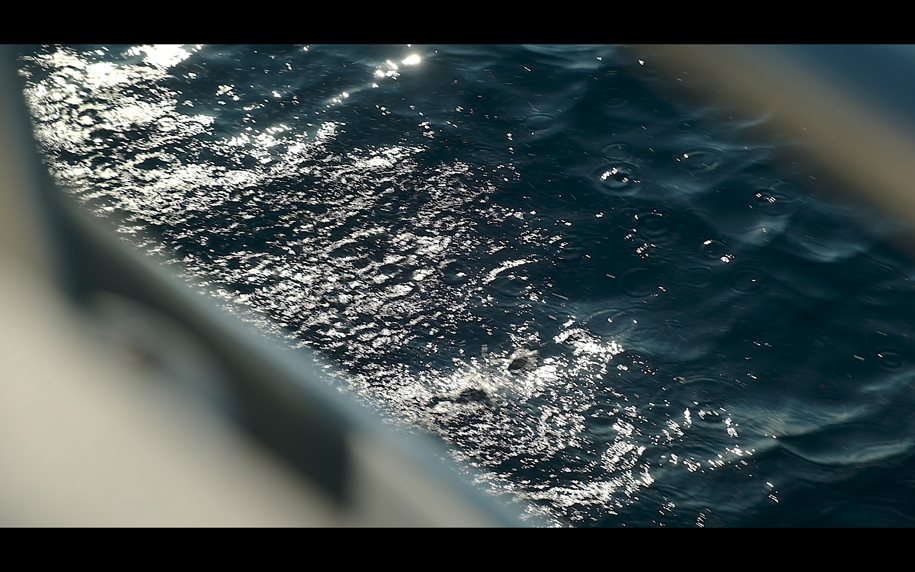 b301fe25-f244-40c6-aef6-c56dd9484eb6 b301fe25-f244-40c6-aef6-c56dd9484eb6