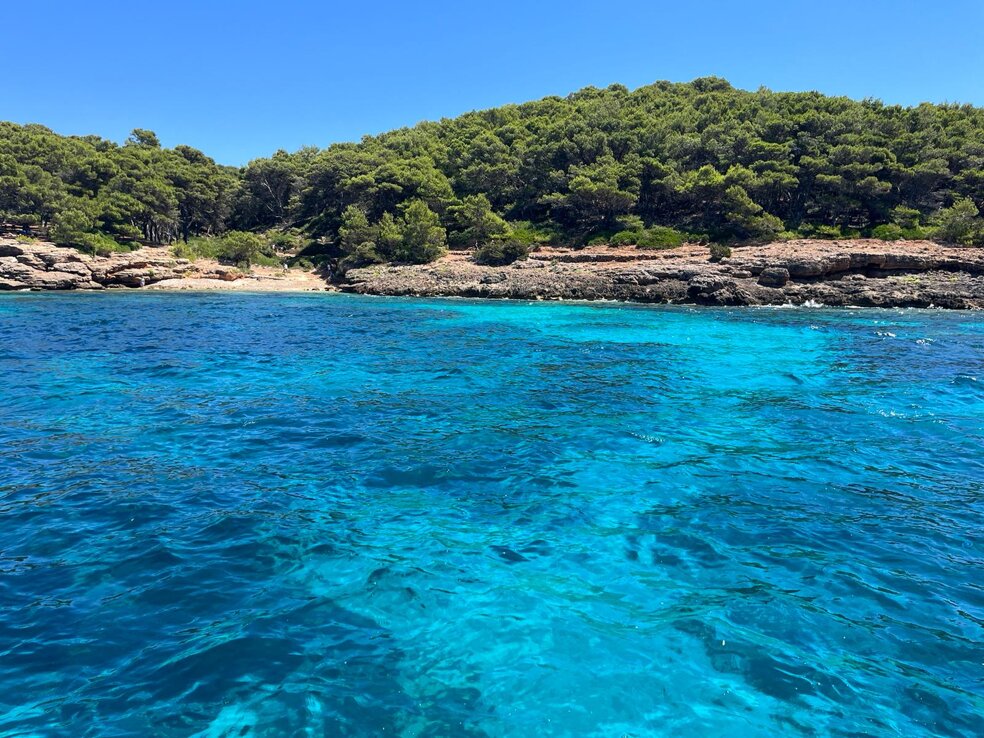 71e50b05-94e3-42ef-b5f9-ea3a09f60ade.jpeg 71e50b05-94e3-42ef-b5f9-ea3a09f60ade.jpeg