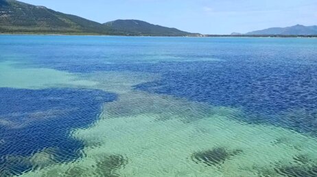 f90fe04f-ff6f-40d4-9945-a78b556be49c.jpeg f90fe04f-ff6f-40d4-9945-a78b556be49c.jpeg