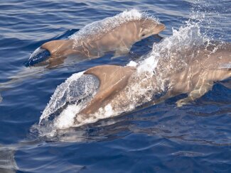 12d5ccc4-be26-4591-b14b-197ef67508b2.jpeg 12d5ccc4-be26-4591-b14b-197ef67508b2.jpeg