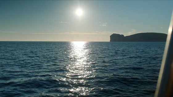 7238c0cb-48a1-4e06-84c0-61223b6aebfe