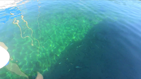 25cc2ca2-f2ca-47fb-b1a7-0ddaa72b5897 25cc2ca2-f2ca-47fb-b1a7-0ddaa72b5897