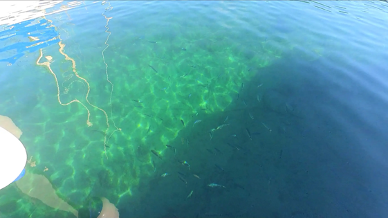 25cc2ca2-f2ca-47fb-b1a7-0ddaa72b5897 25cc2ca2-f2ca-47fb-b1a7-0ddaa72b5897