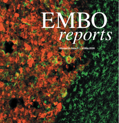 f82571d4-9916-4fb1-8f17-e5c5f7ccae2f