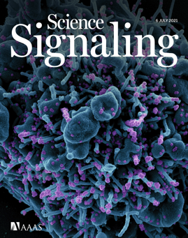 943165f0-e83d-4d2a-9547-f9c29801fe22